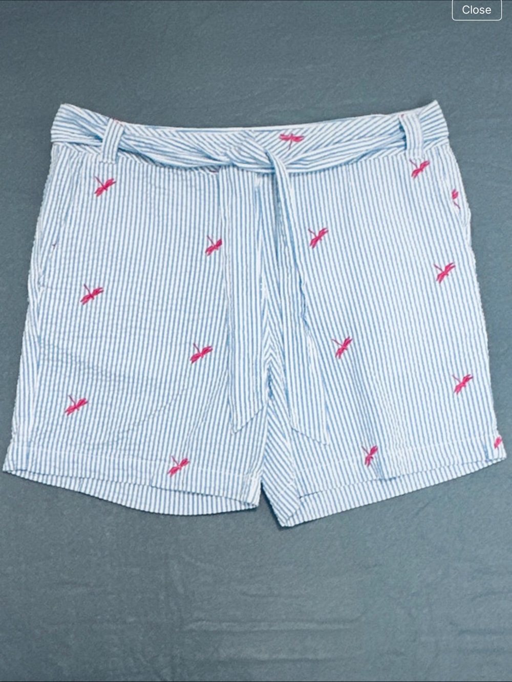 Blue and White Striped Seersucker Shorts with Pink Dragonfly Embroidery